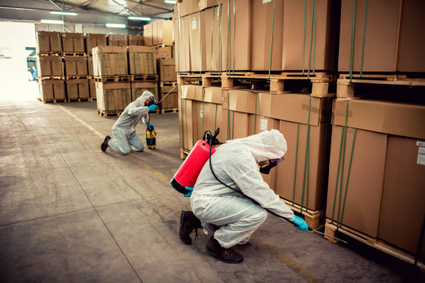 Best Flea Control Services  in Wanamassa, NJ