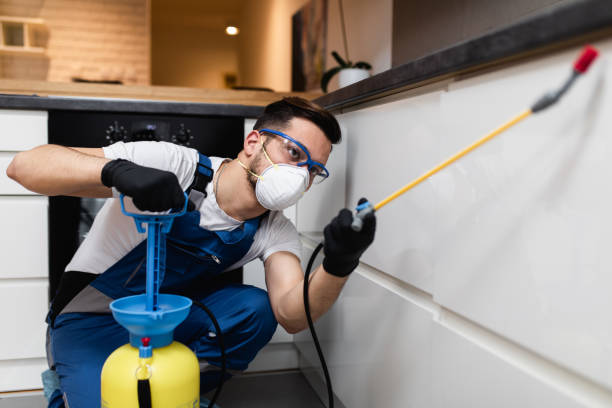 Flea Control Services in Wanamassa, NJ
