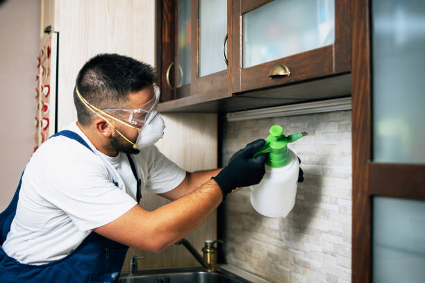 Best Pest Prevention Services  in Wanamassa, NJ