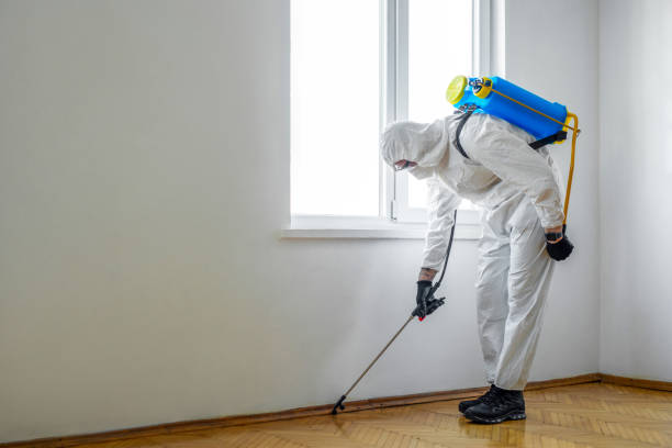 Best Residential Pest Control  in Wanamassa, NJ