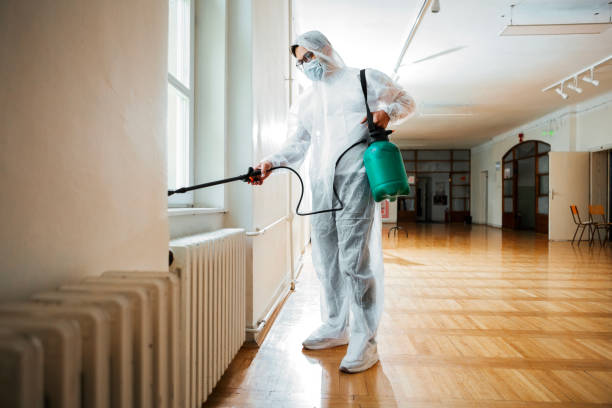 Best Wasp Removal Services  in Wanamassa, NJ