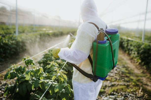 Best Exterminator Services  in Wanamassa, NJ
